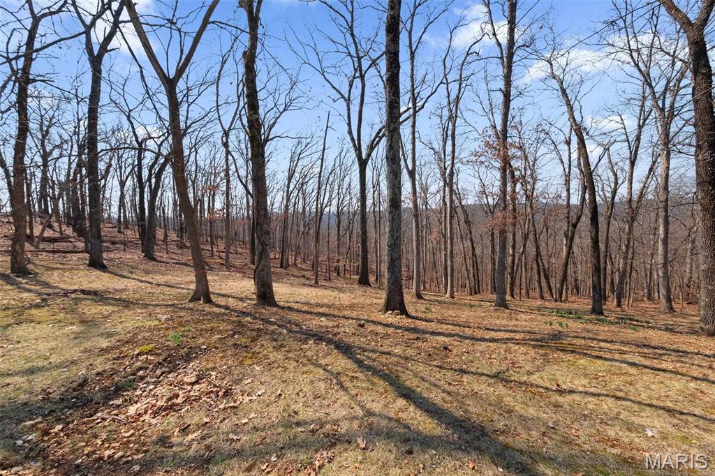 Clarissa A Burt and Chateau Forest - Residential