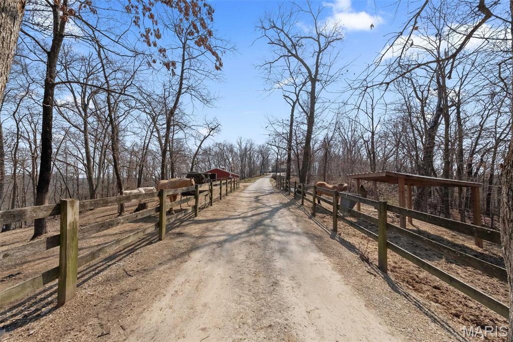 Clarissa A Burt and Chateau Forest - Residential