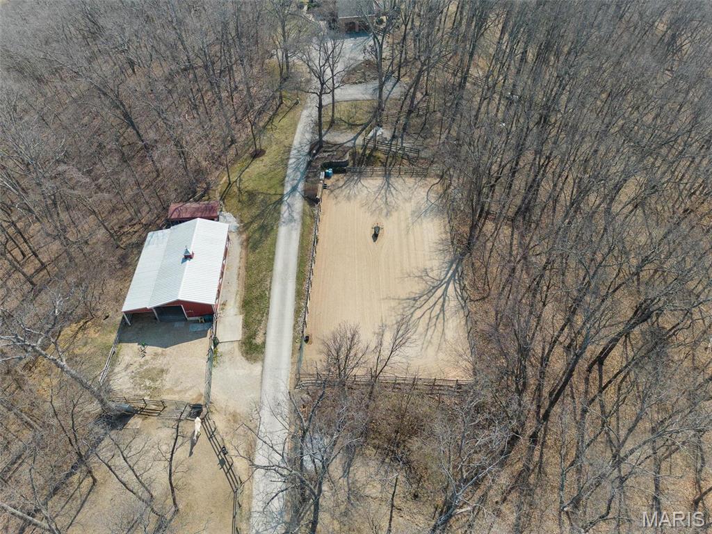 Clarissa A Burt and Chateau Forest - Residential