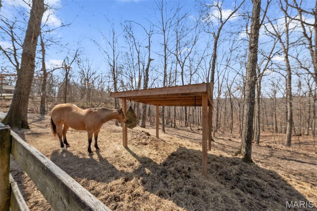 Clarissa A Burt and Chateau Forest - Residential