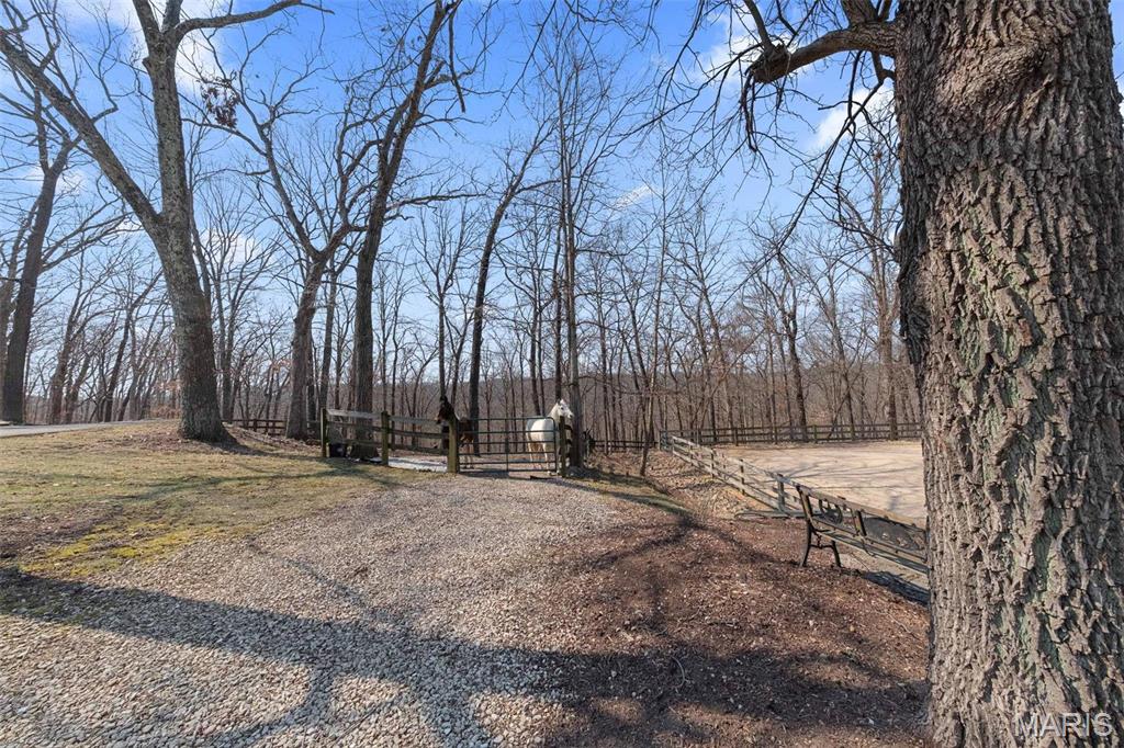 Clarissa A Burt and Chateau Forest - Residential