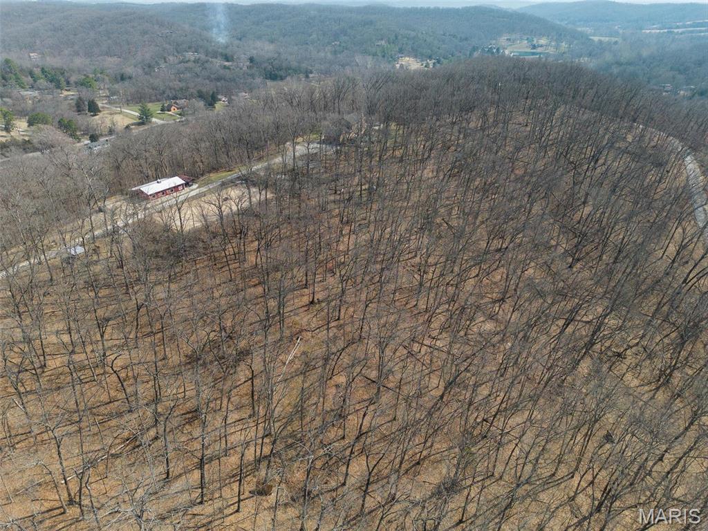 Clarissa A Burt and Chateau Forest - Residential