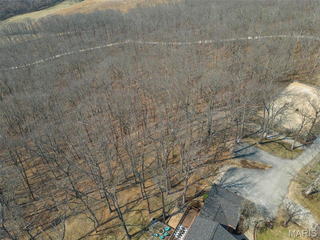 Clarissa A Burt and Chateau Forest - Residential