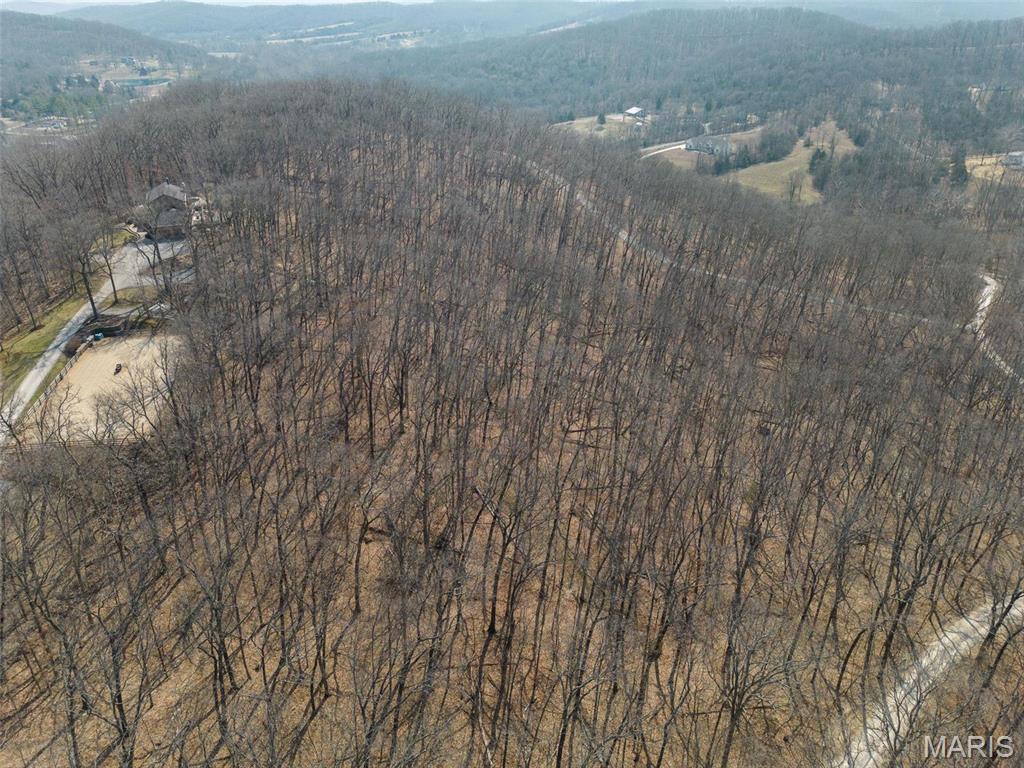 Clarissa A Burt and Chateau Forest - Residential