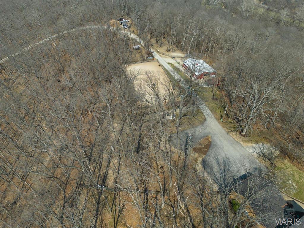 Clarissa A Burt and Chateau Forest - Residential