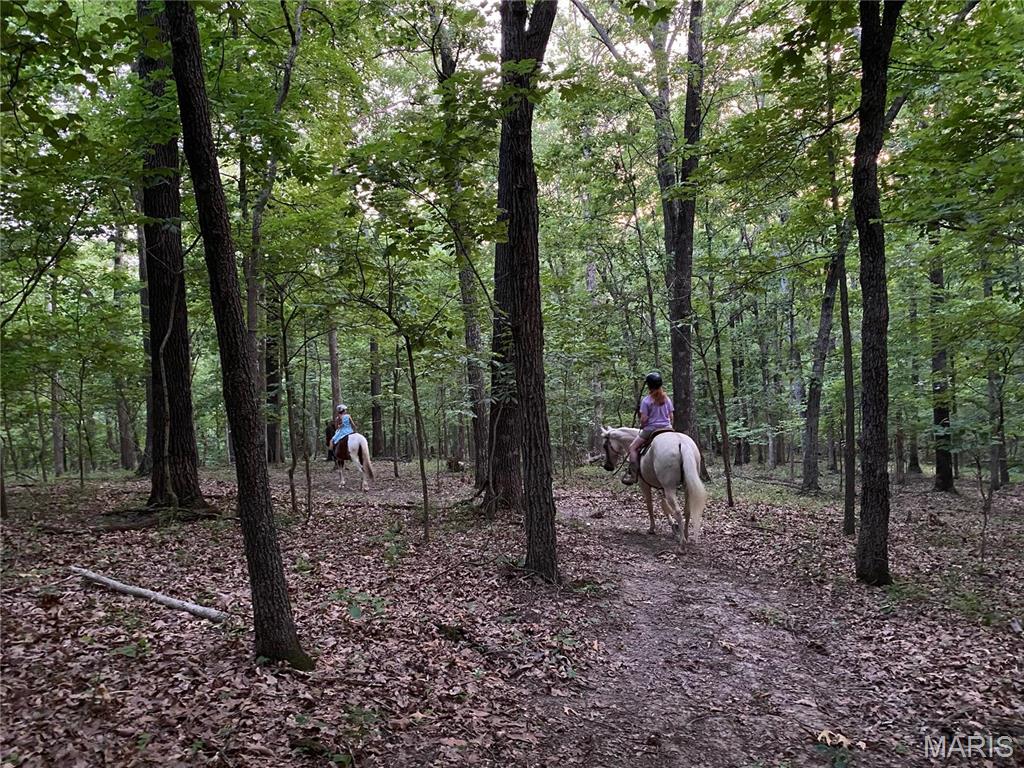 Clarissa A Burt and Chateau Forest - Residential