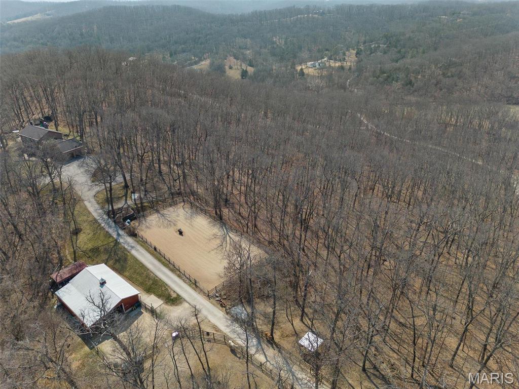 Clarissa A Burt and Chateau Forest - Residential