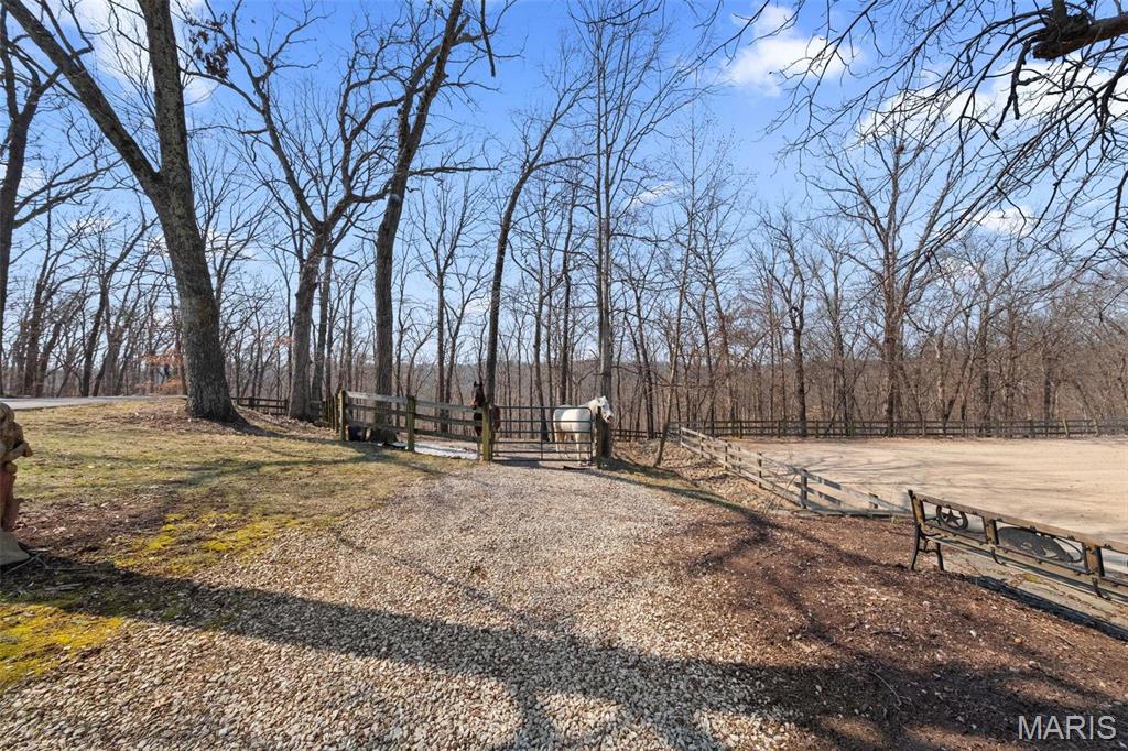 Clarissa A Burt and Chateau Forest - Residential