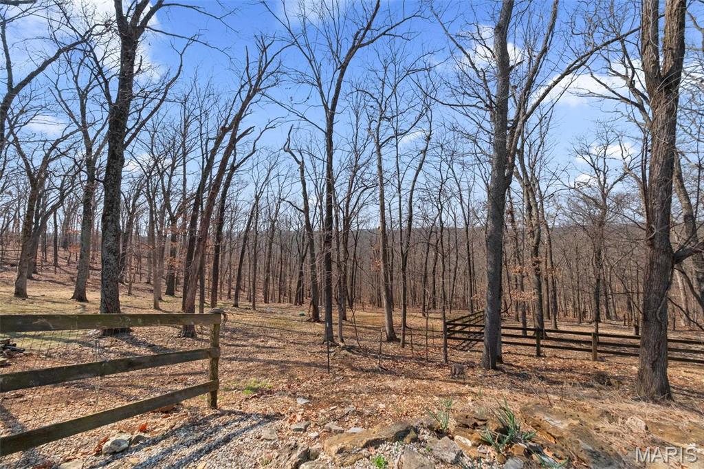 Clarissa A Burt and Chateau Forest - Residential