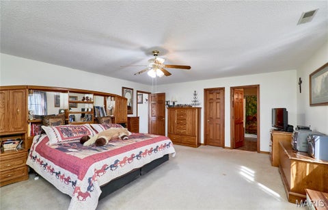 Tiny photo for 15102 Pike 317, Bowling Green, MO 63334 (MLS # 26065089)