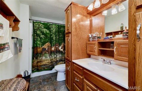 Tiny photo for 15102 Pike 317, Bowling Green, MO 63334 (MLS # 26065089)