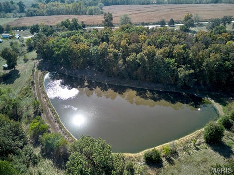 Tiny photo for 15102 Pike 317, Bowling Green, MO 63334 (MLS # 26065089)