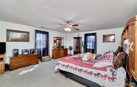 Tiny photo for 15102 Pike 317, Bowling Green, MO 63334 (MLS # 26065089)