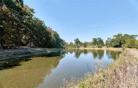 Tiny photo for 15102 Pike 317, Bowling Green, MO 63334 (MLS # 26065089)