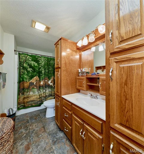 Tiny photo for 15102 Pike 317, Bowling Green, MO 63334 (MLS # 26065089)