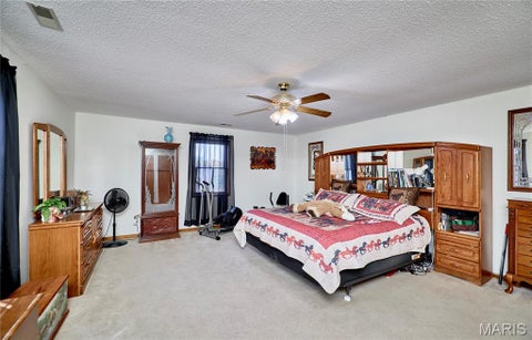 Tiny photo for 15102 Pike 317, Bowling Green, MO 63334 (MLS # 26065089)