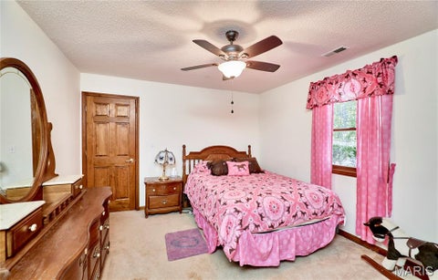 Tiny photo for 15102 Pike 317, Bowling Green, MO 63334 (MLS # 26065089)