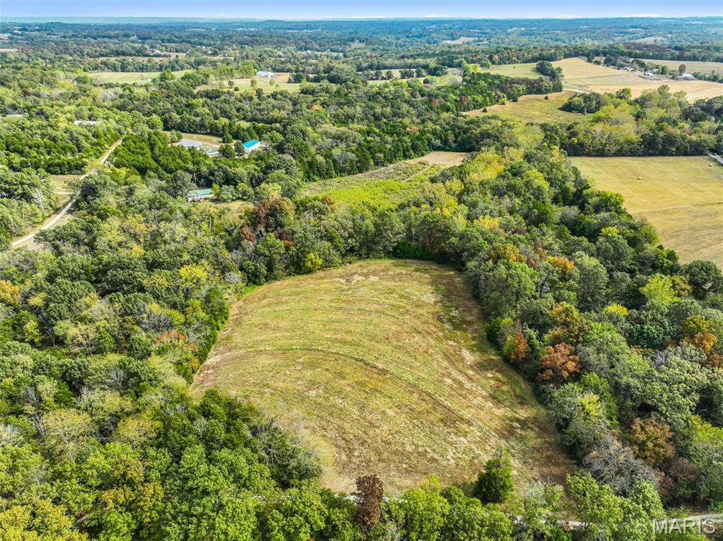 - Walnut Woods Road