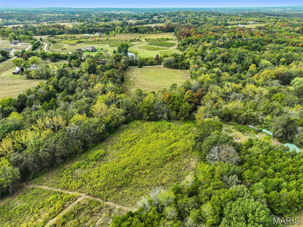 - Walnut Woods Road