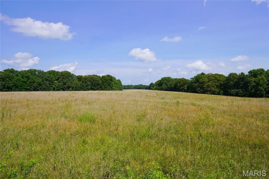 Beautiful 57 Acre Tract Located in Southern Montgomery County on Chad Lane. Nice 12 Acre Field in Grass Currently Cut for Hay! Prime Building Sites! Excellent Hunting for Deer and Turkey! Part of a Larger Farm. Seller to Survey to Determine Exact Amount of Land. Final Price will be $ per Surveyed Acre. Tax ID Shown is of the Larger Farm. Additional Land Available. Call Today! Don't Miss Out on this Exceptional Tract of Land!