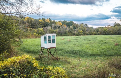 Tiny photo for 9305 Old State Route 21, Hillsboro, MO 63050 (MLS # 26068005)
