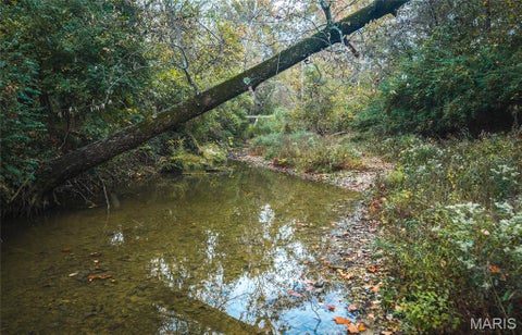 Tiny photo for 9305 Old State Route 21, Hillsboro, MO 63050 (MLS # 26068005)
