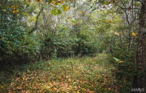 Tiny photo for 9305 Old State Route 21, Hillsboro, MO 63050 (MLS # 26068005)