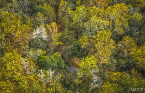 Tiny photo for 9305 Old State Route 21, Hillsboro, MO 63050 (MLS # 26068005)