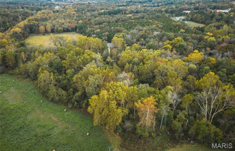 Tiny photo for 9305 Old State Route 21, Hillsboro, MO 63050 (MLS # 26068005)