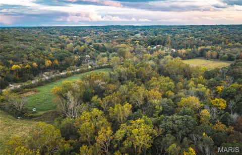 Tiny photo for 9305 Old State Route 21, Hillsboro, MO 63050 (MLS # 26068005)