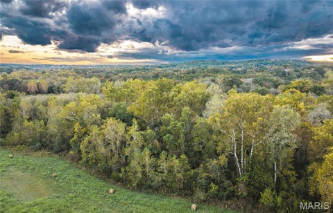 Tiny photo for 9305 Old State Route 21, Hillsboro, MO 63050 (MLS # 26068005)