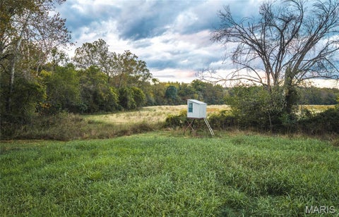Tiny photo for 9305 Old State Route 21, Hillsboro, MO 63050 (MLS # 26068005)