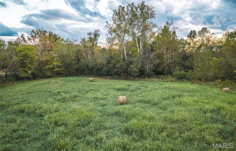Tiny photo for 9305 Old State Route 21, Hillsboro, MO 63050 (MLS # 26068005)