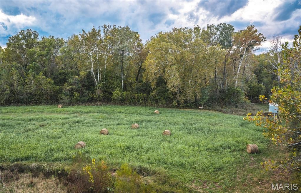Photo of 9305 Old State Route 21, Hillsboro, MO 63050 (MLS # 26068005)