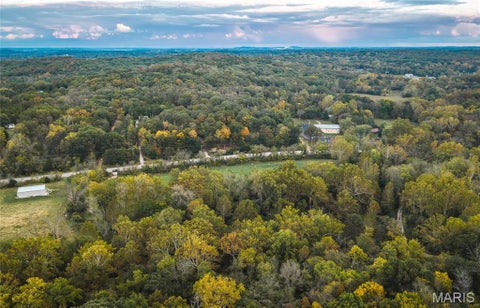 Tiny photo for 9305 Old State Route 21, Hillsboro, MO 63050 (MLS # 26068005)