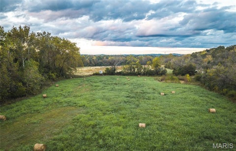 Tiny photo for 9305 Old State Route 21, Hillsboro, MO 63050 (MLS # 26068005)