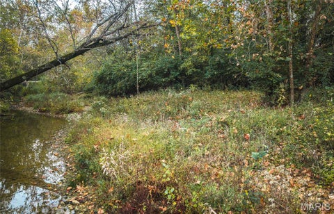 Tiny photo for 9305 Old State Route 21, Hillsboro, MO 63050 (MLS # 26068005)