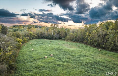 Tiny photo for 9305 Old State Route 21, Hillsboro, MO 63050 (MLS # 26068005)