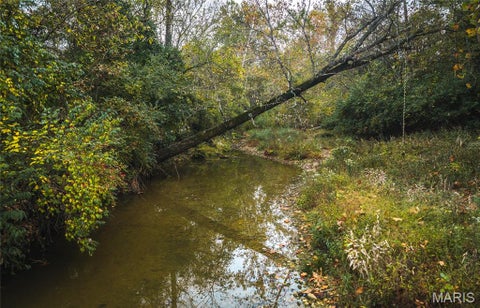 Tiny photo for 9305 Old State Route 21, Hillsboro, MO 63050 (MLS # 26068005)
