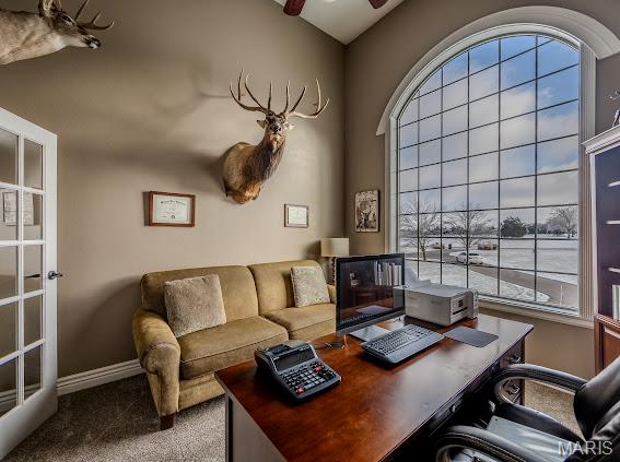 FREMONT PARK - Residential