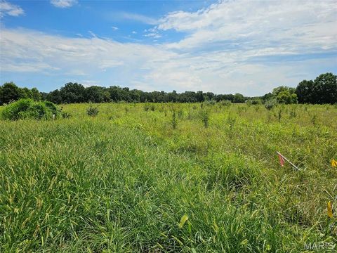 Tiny photo for 220 Hawkins Ridge Court, Troy, MO 63379 (MLS # 25052695)