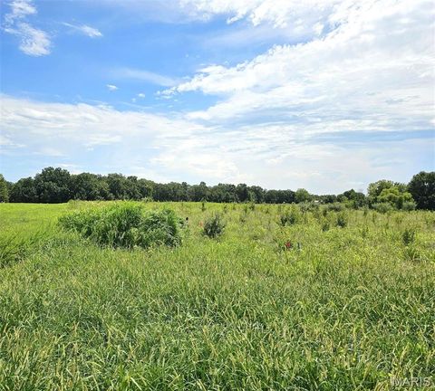 Photo of 220 Hawkins Ridge Court, Troy, MO 63379 (MLS # 25052695)