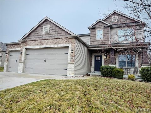 Photo of 697 Luxembourg Gardens Court, Wentzville, MO 63348 (MLS # 26012307)