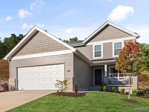 Photo of 4936 Knotty Alder Drive, Imperial, MO 63052 (MLS # 26016486)