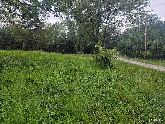 45 PONDER RD, ELSBERRY, MO 63343 - Image 5bba5f1a59d5c19cdf77662124f02876/1697368362