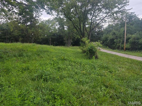 Photo of 45 Ponder Rd RD, Elsberry, MO 63343 (MLS # 26055414)