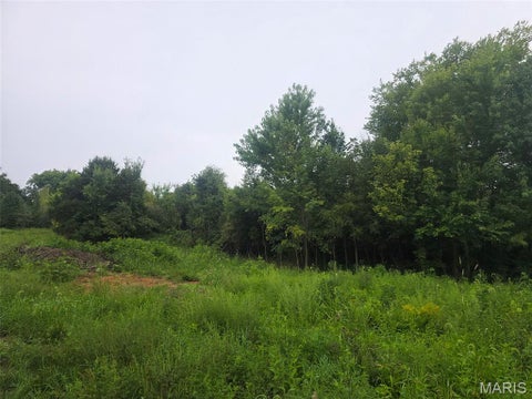 Tiny photo for 45 Ponder Rd RD, Elsberry, MO 63343 (MLS # 26055414)
