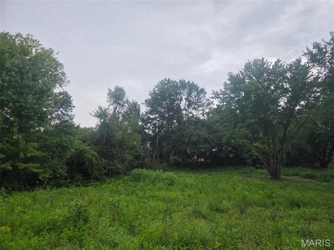 Tiny photo for 45 Ponder Rd RD, Elsberry, MO 63343 (MLS # 26055414)