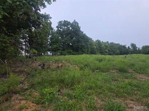 Tiny photo for 45 Ponder Rd RD, Elsberry, MO 63343 (MLS # 26055414)