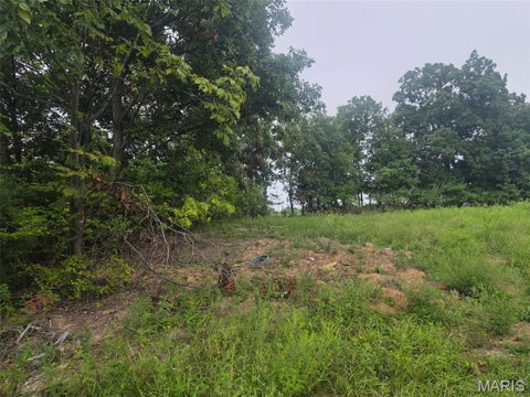 Tiny photo for 45 Ponder Rd RD, Elsberry, MO 63343 (MLS # 26055414)